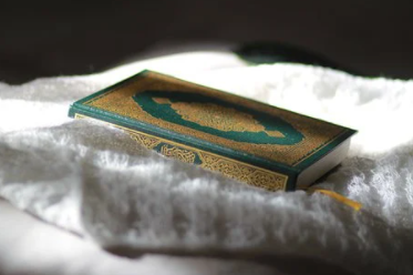 Quran e Karim in English
